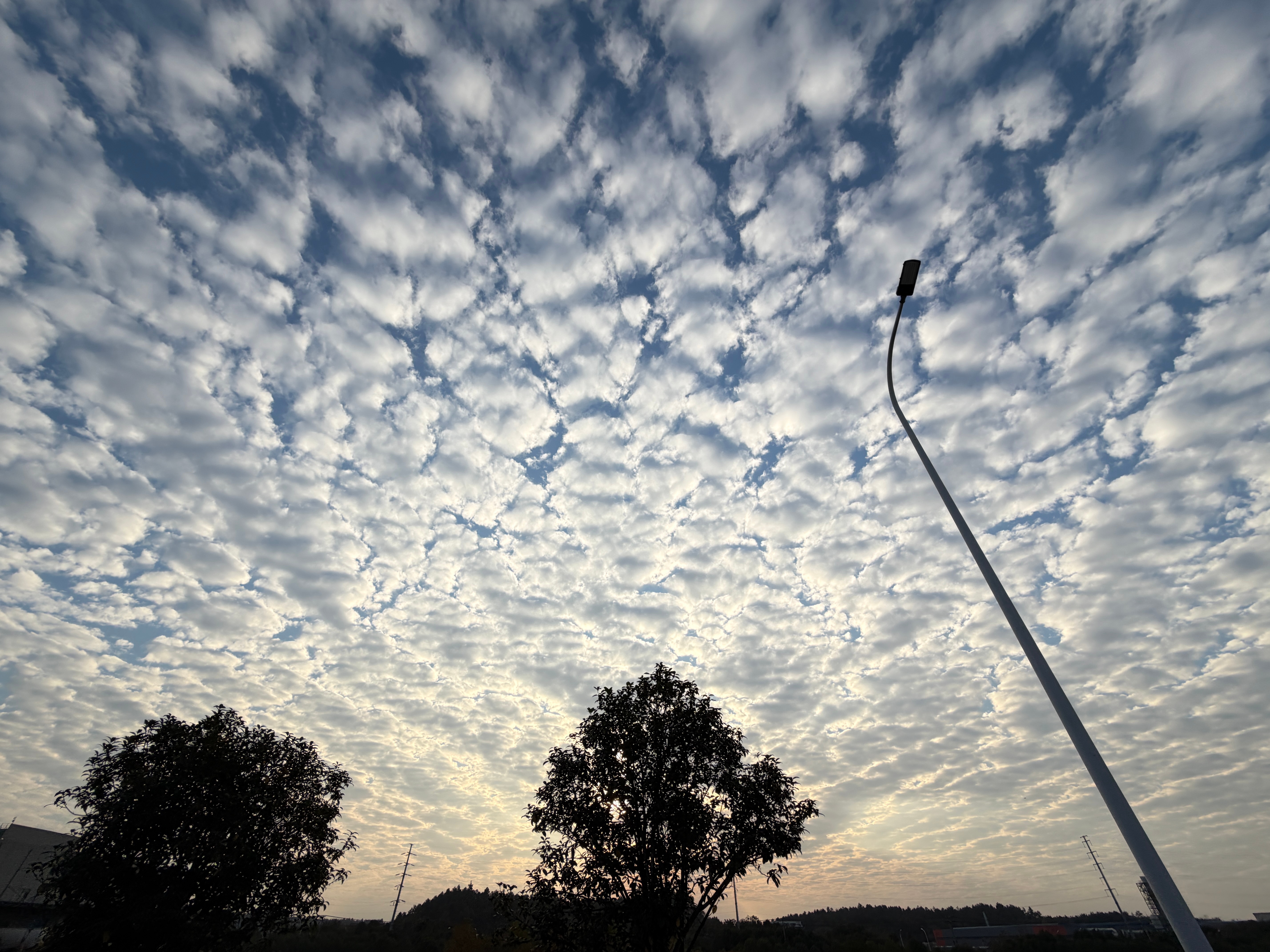 早安漫漫长路，你愿一人独撑，忍受着孤独与寂寞，承受着体力与精神的压迫，只任汗水溶