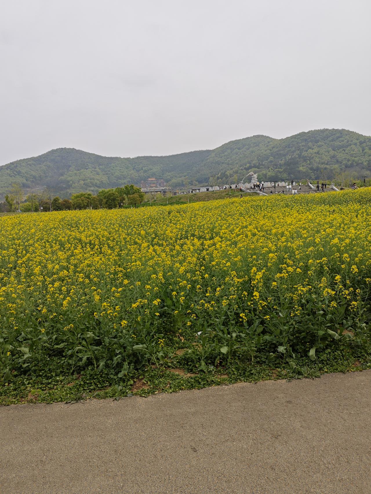 你喜欢委屈自己还是别人以前可能是委屈自己多一点，现在嘛肯定是别人喽[灵光一闪]