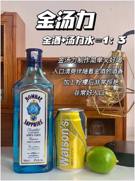 入门酒鬼调酒指南轻松实现宅家微醺快乐​​​我的宝藏食谱 ​​​