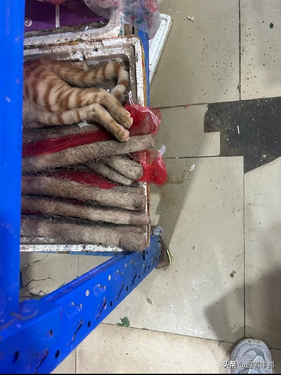 老板这几根山药怎么不一样？