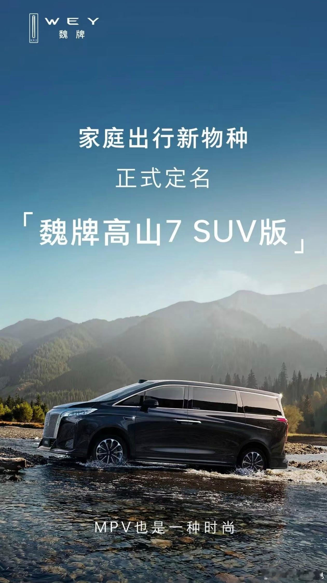 要我说 009猎装版有没有搞头？大v聊车极氪极氪009极氪
