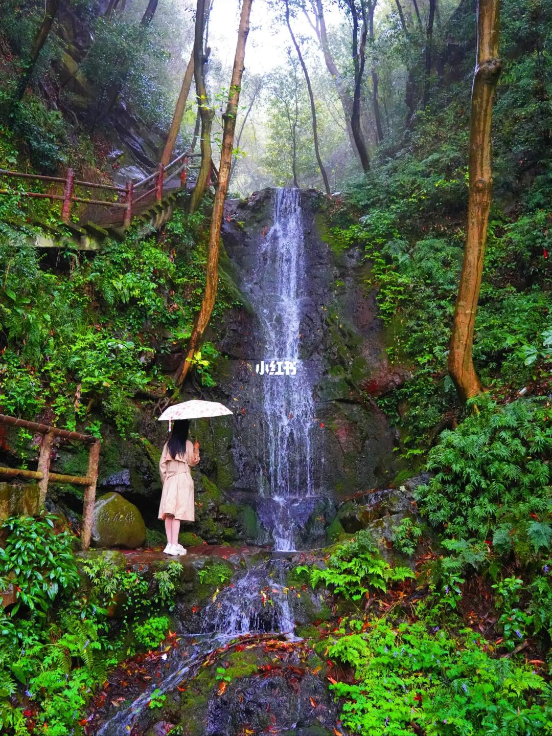 如果你5月来杭州旅行，答应我，别错过这里