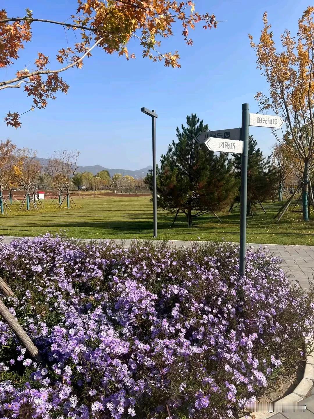 上船不思岸上人，下船不提船上事。
没什么好遗憾的，各有各的路要走，原本就不属于你