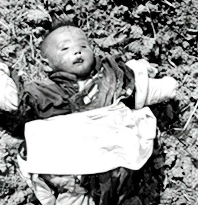 1937年，一个女人抱着孩子藏身芦苇荡，躲避日军的搜寻。女人紧紧抱着怀里的孩子，