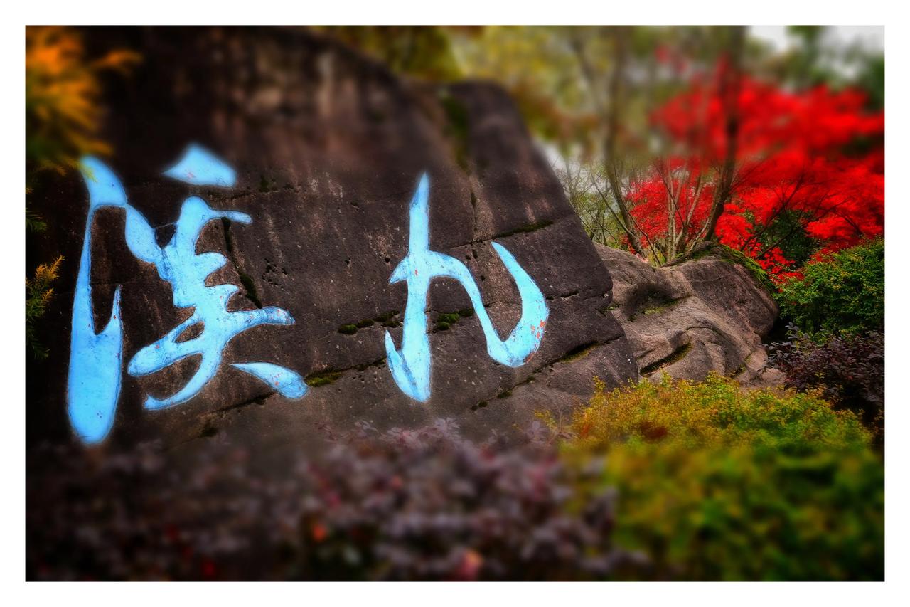 杭州·我在九溪等你看风景
杭州影像 杭州空间拍摄 十一的杭州西湖