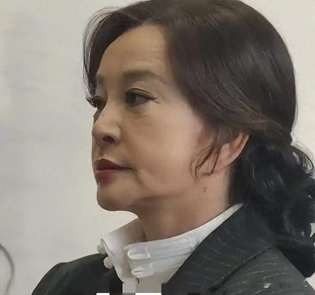 75岁接连吃官司！风光半生的刘晓庆，为何晚年深陷债务泥潭