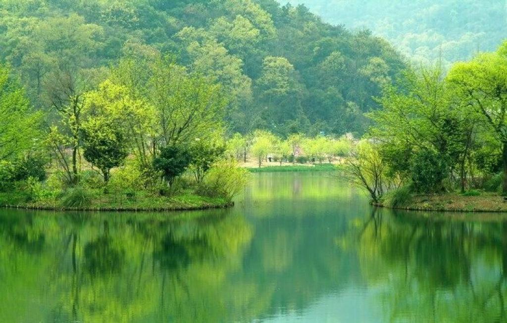 一缕夏日清风拂过缓缓绿意……
