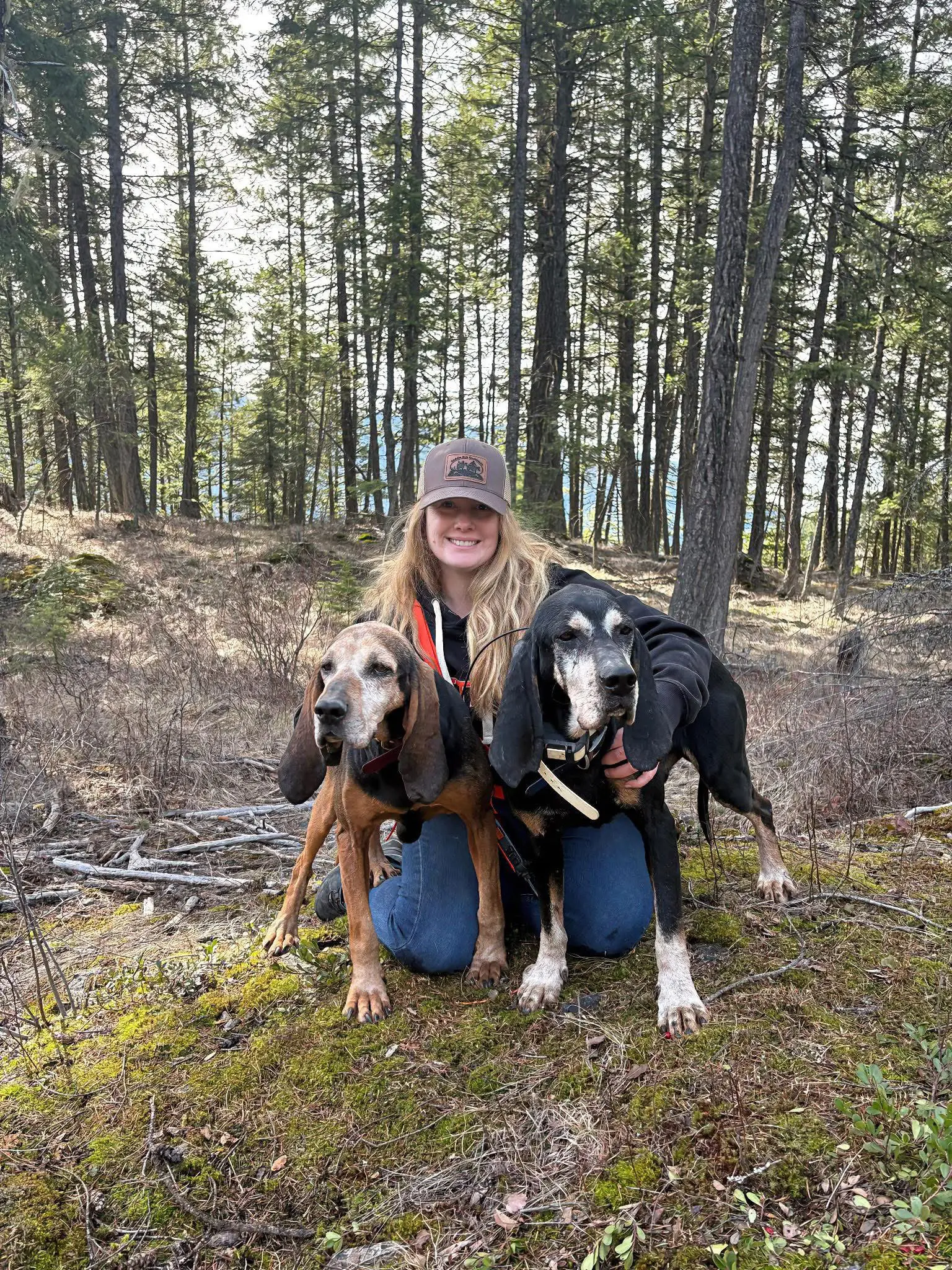 美国猎犬实战猎犬