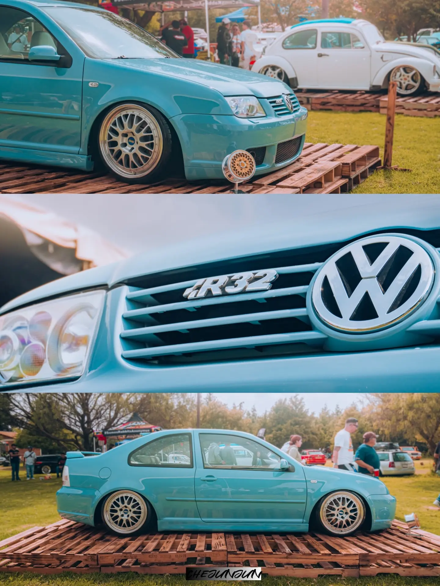 伏地魔X“盆栽组”。