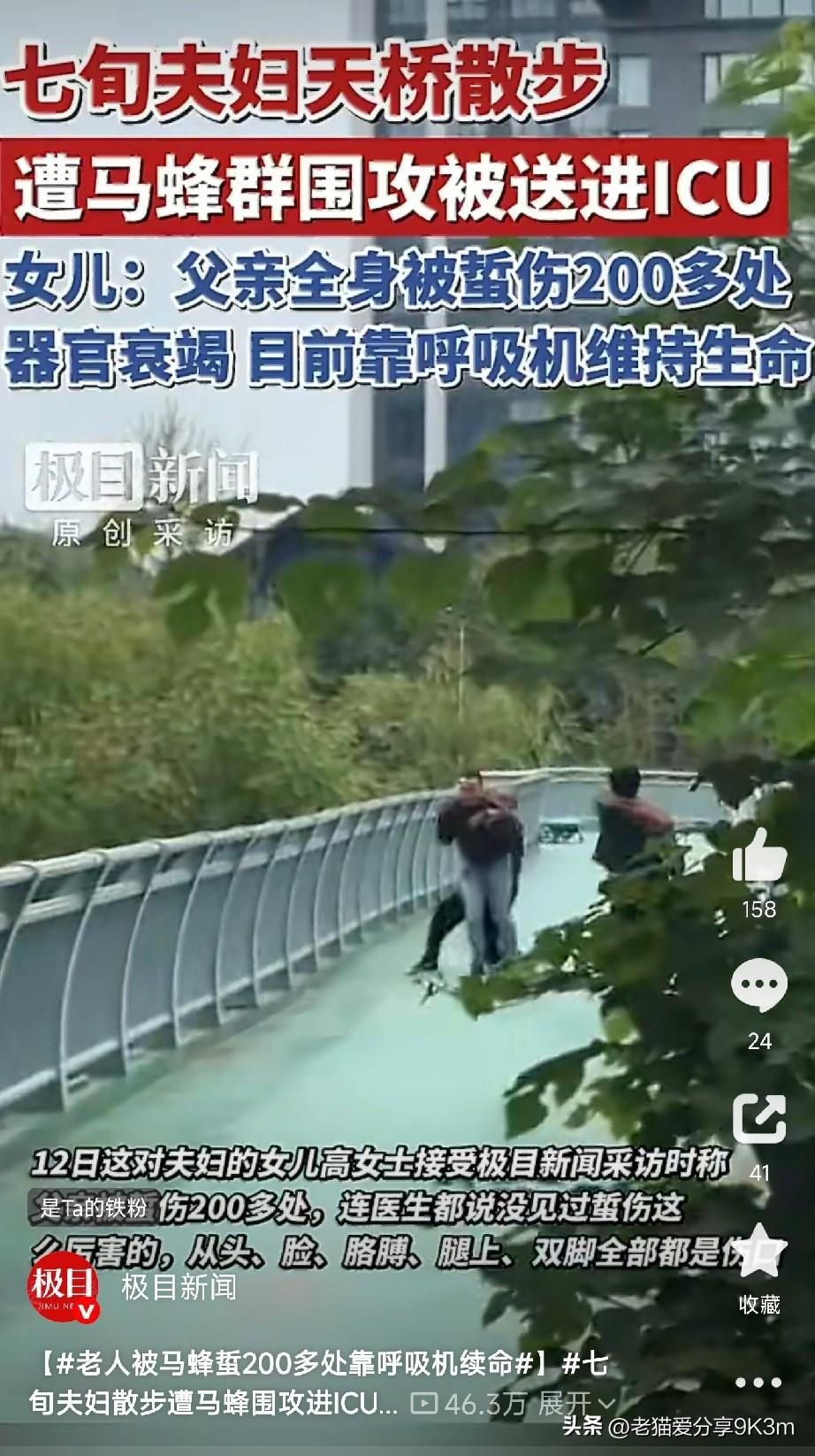真是飞来横祸！

河南汝州，一对七旬老夫妻只是出门散个步，路过一座人行天桥时，一