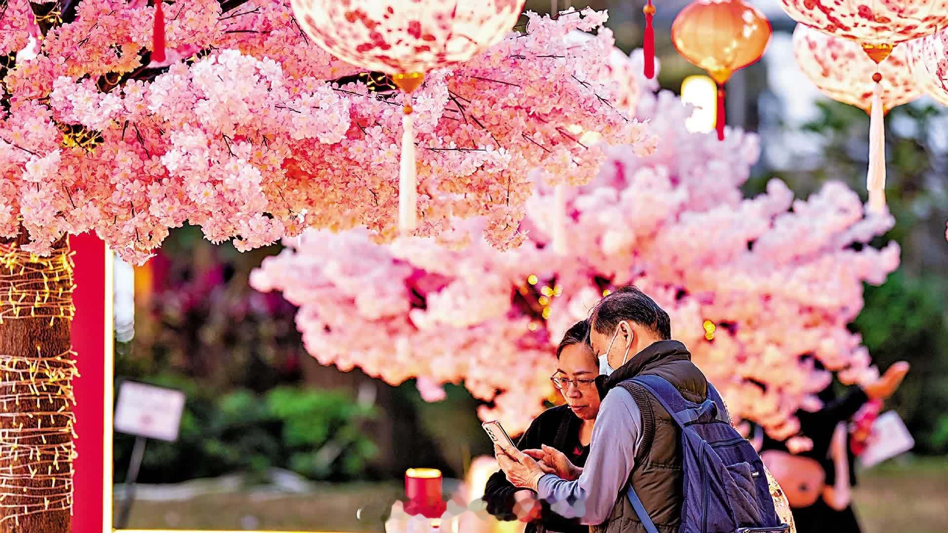 「七日談｜香港篇：立春計 … 文/何志平周三雖然立了春，但在香港，春天從不曾走遠