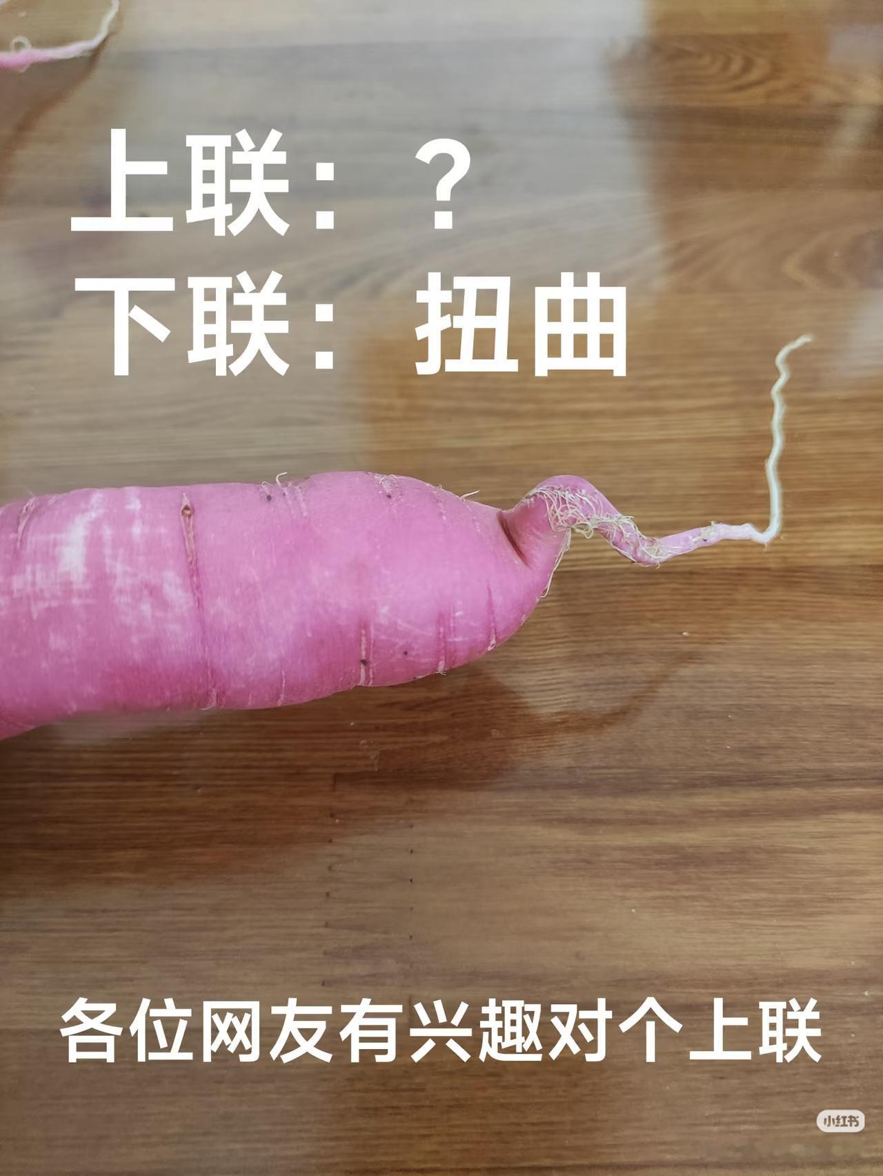 上联：？
下联：扭曲。