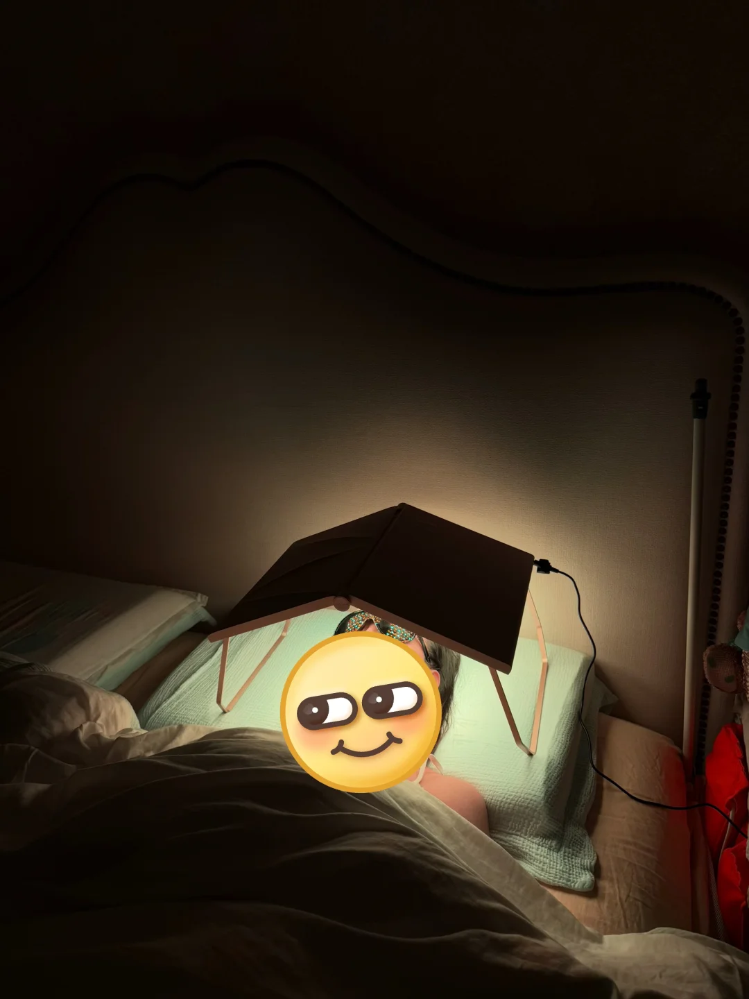 大排灯｜目前唯一没有闲置的美容仪 入手不亏