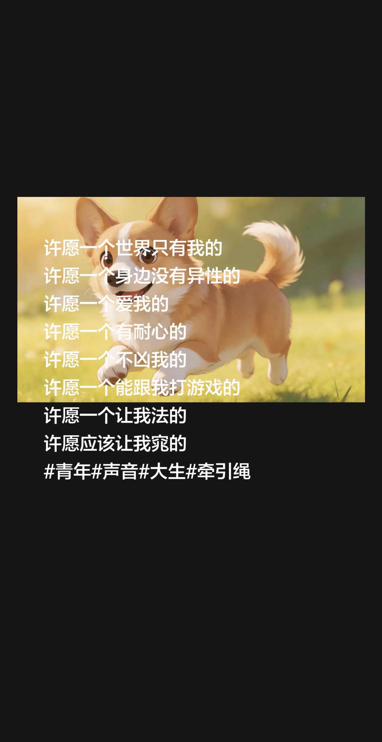 许愿一个扫货许愿一个能当我狗的许愿一个听话的许愿一个宝宝许愿一个粘人的许愿一个离