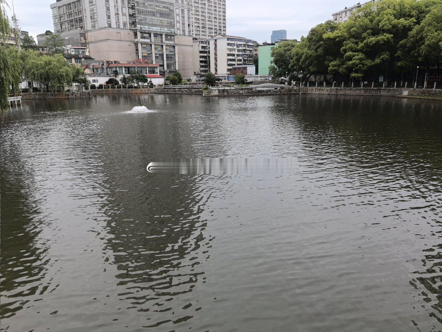 【英雄城交通•综合 | 重磅！我市这个区“十五五”规划正式对外发布】南昌稳中求进