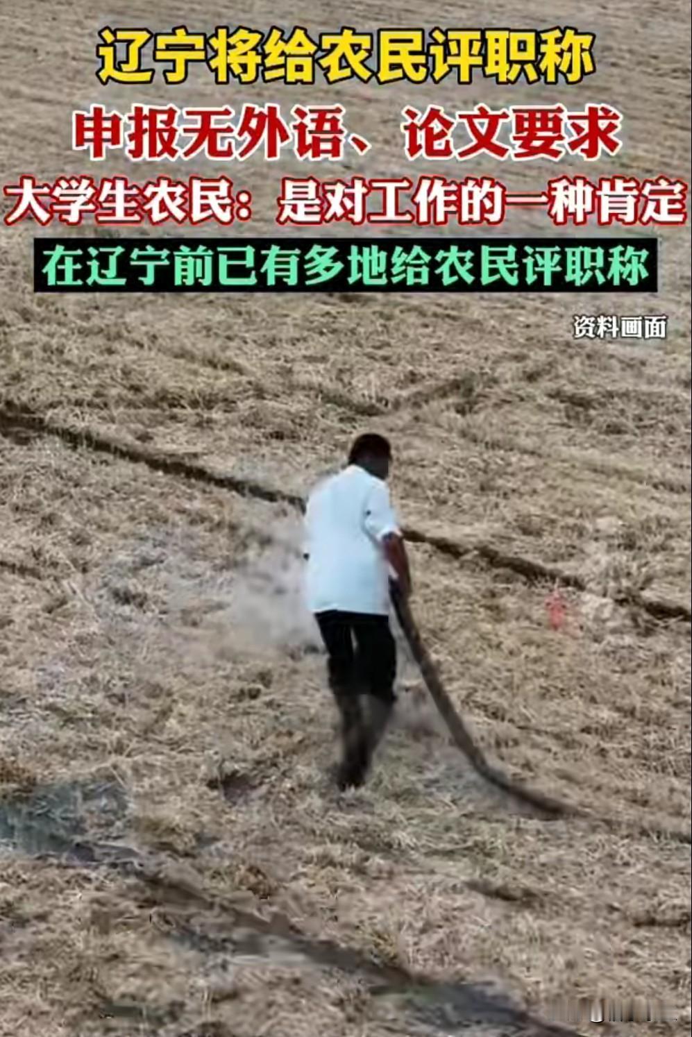 辽宁拟为新型职业农民设立初、中、副高、正高四个级别职称，打破"农民"与"专业技术