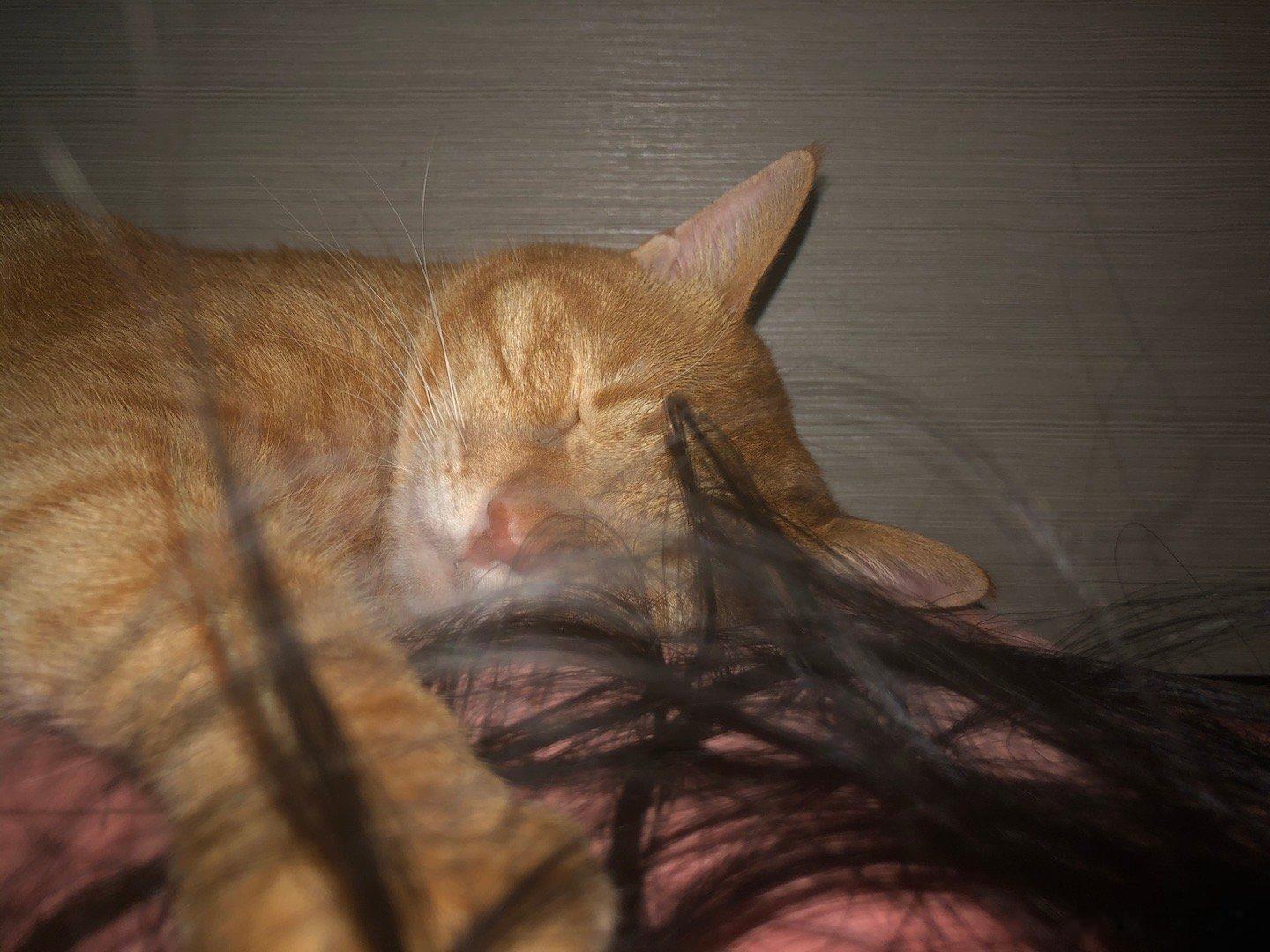喲 ​​​