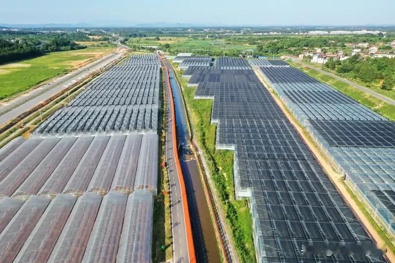 “农民不种地”的思考，反映了人们对传统小农经济逐渐消失的一种不必要焦虑，对农民转