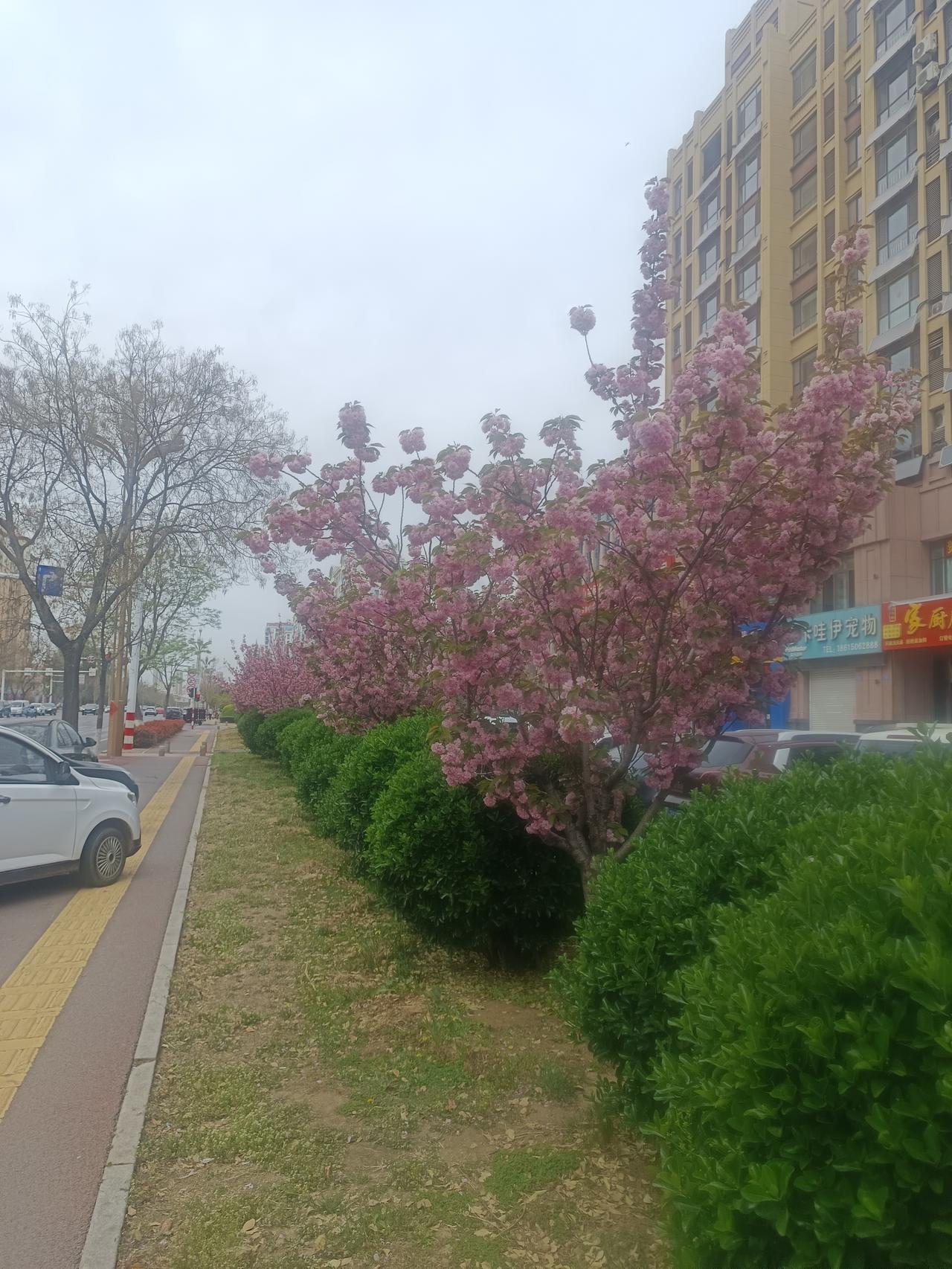 老太太让我虚惊一场[捂脸]
昨天上午九点多去邮政银行，给老人开劳保工资（每月37