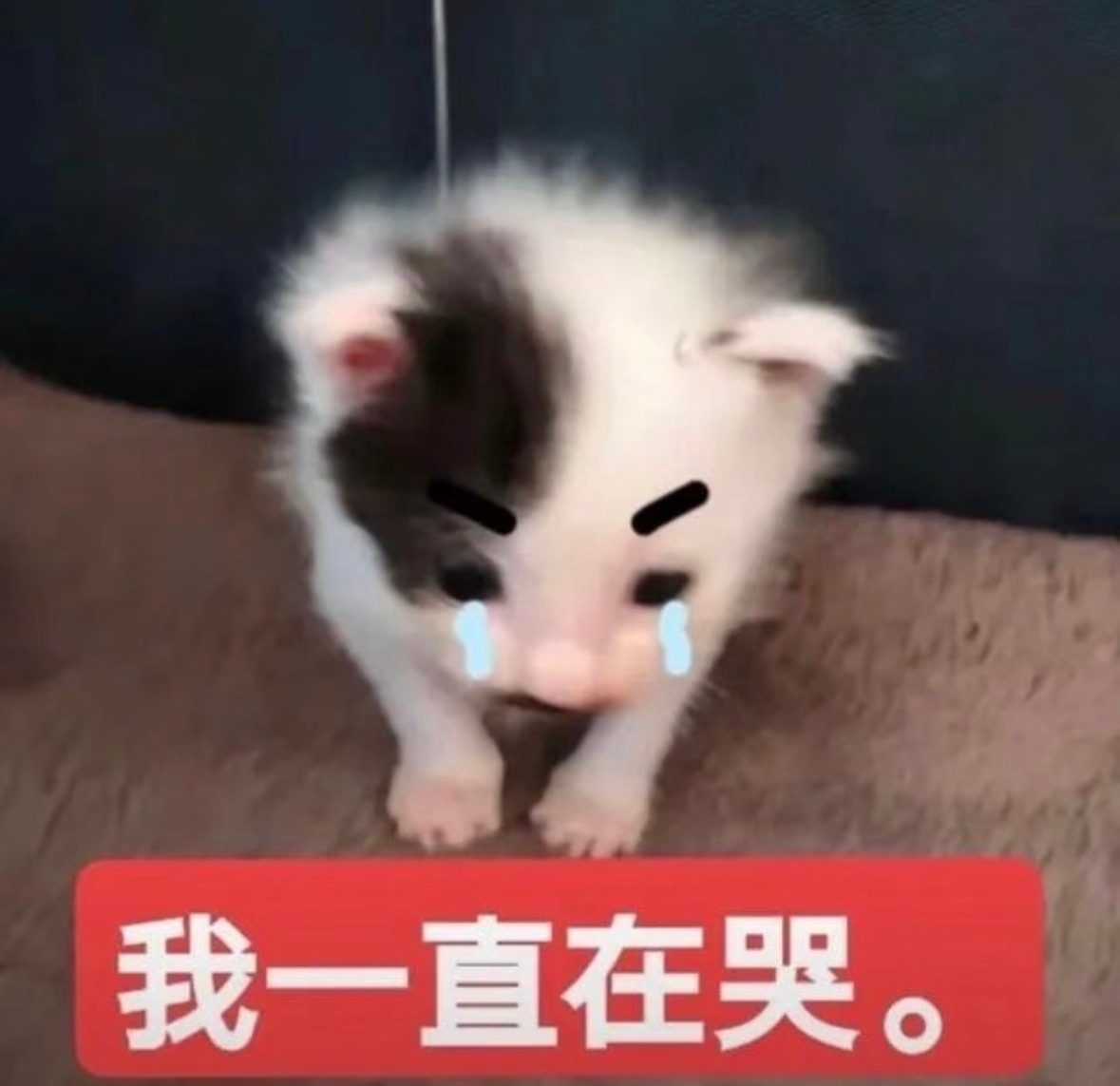 说要减肥结果越吃越多 