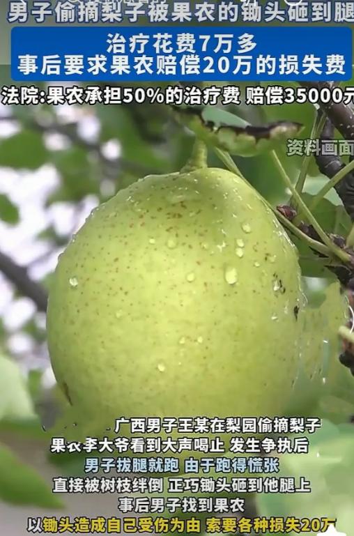 苦不堪言！6月2日，广西，一男子去梨园偷梨，被园主大爷发现发生争执后，他拔腿就跑