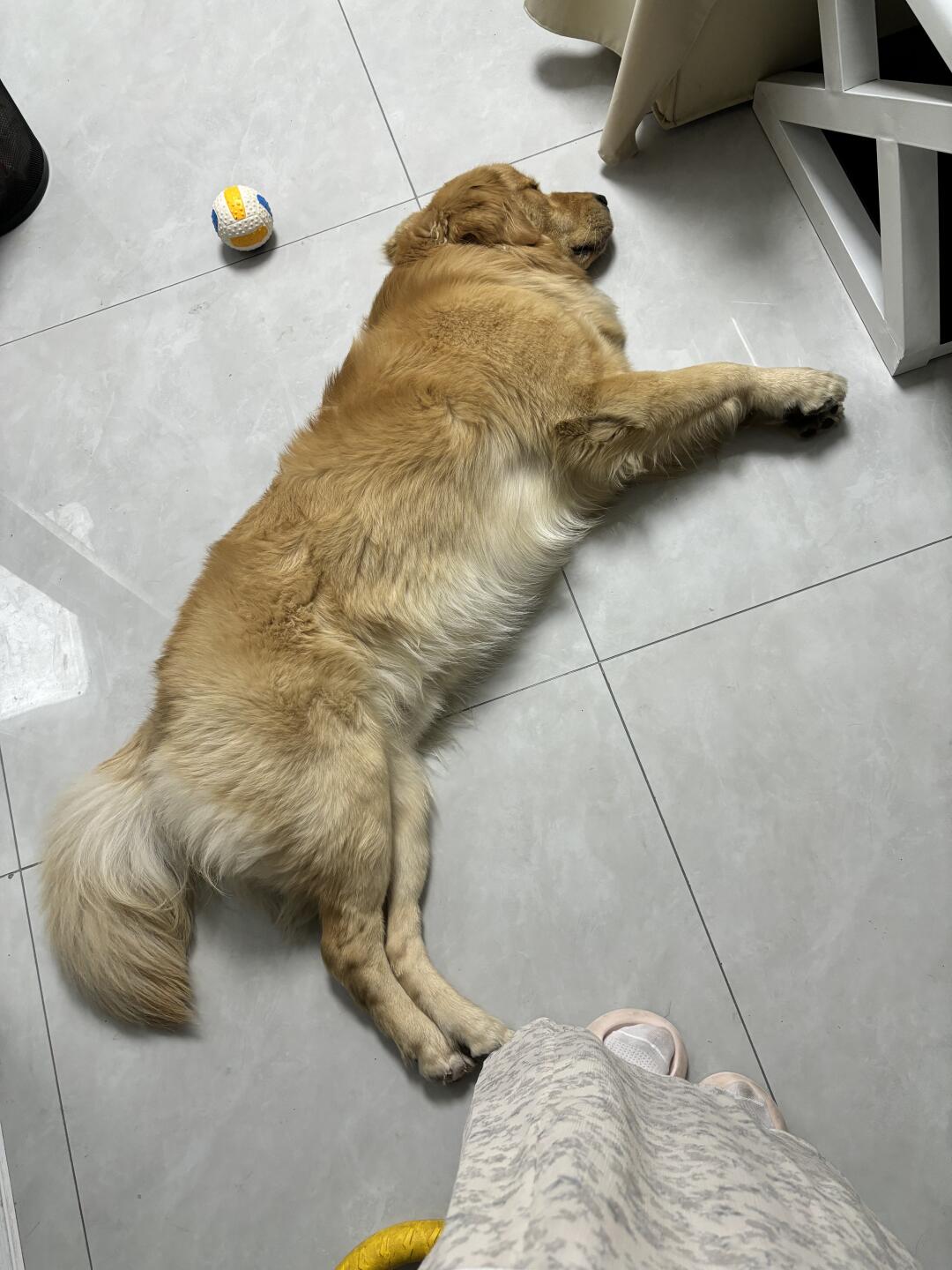 不知道啊 也没给停车费啊