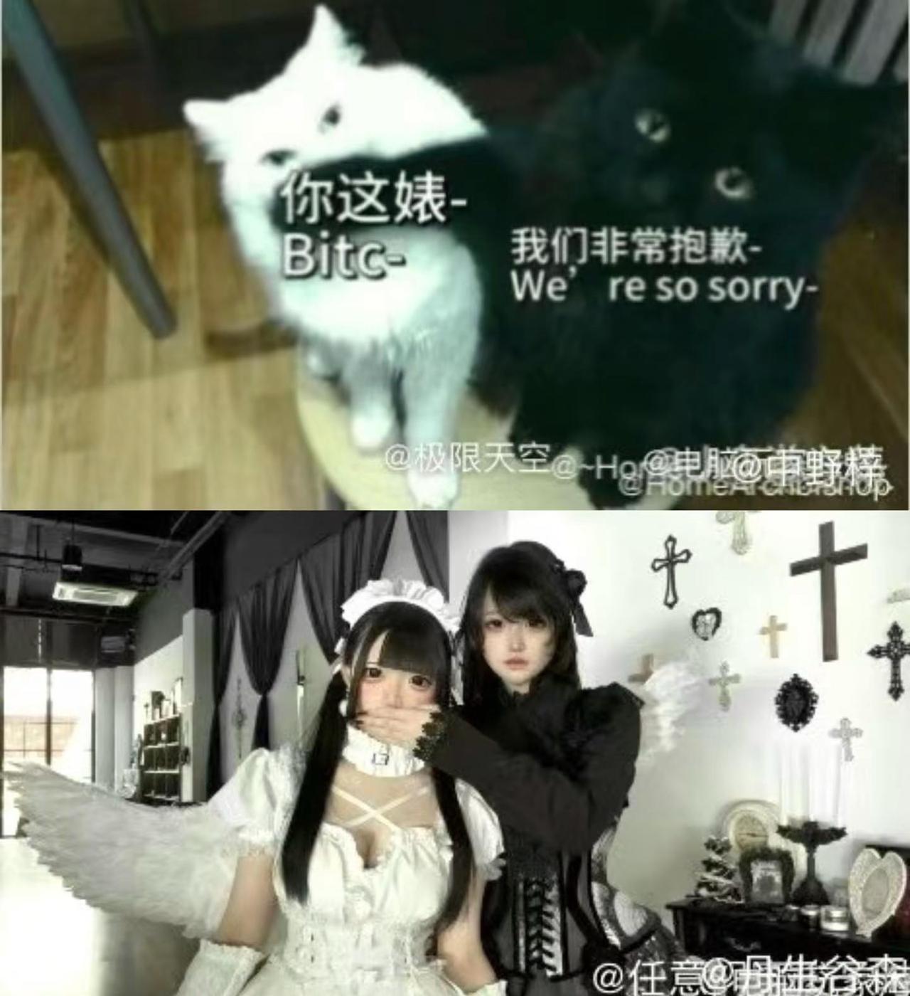 老铁萌 我包浆了。双生 哥特风 天使 梗图 日系黑色小猫：@cream soup