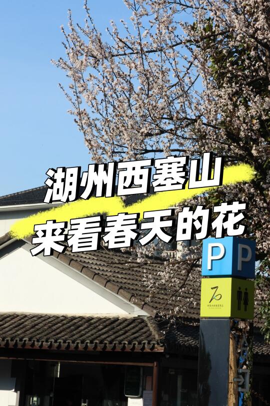湖州西塞山｜😲惊！这居然不是粉嫩樱花？！