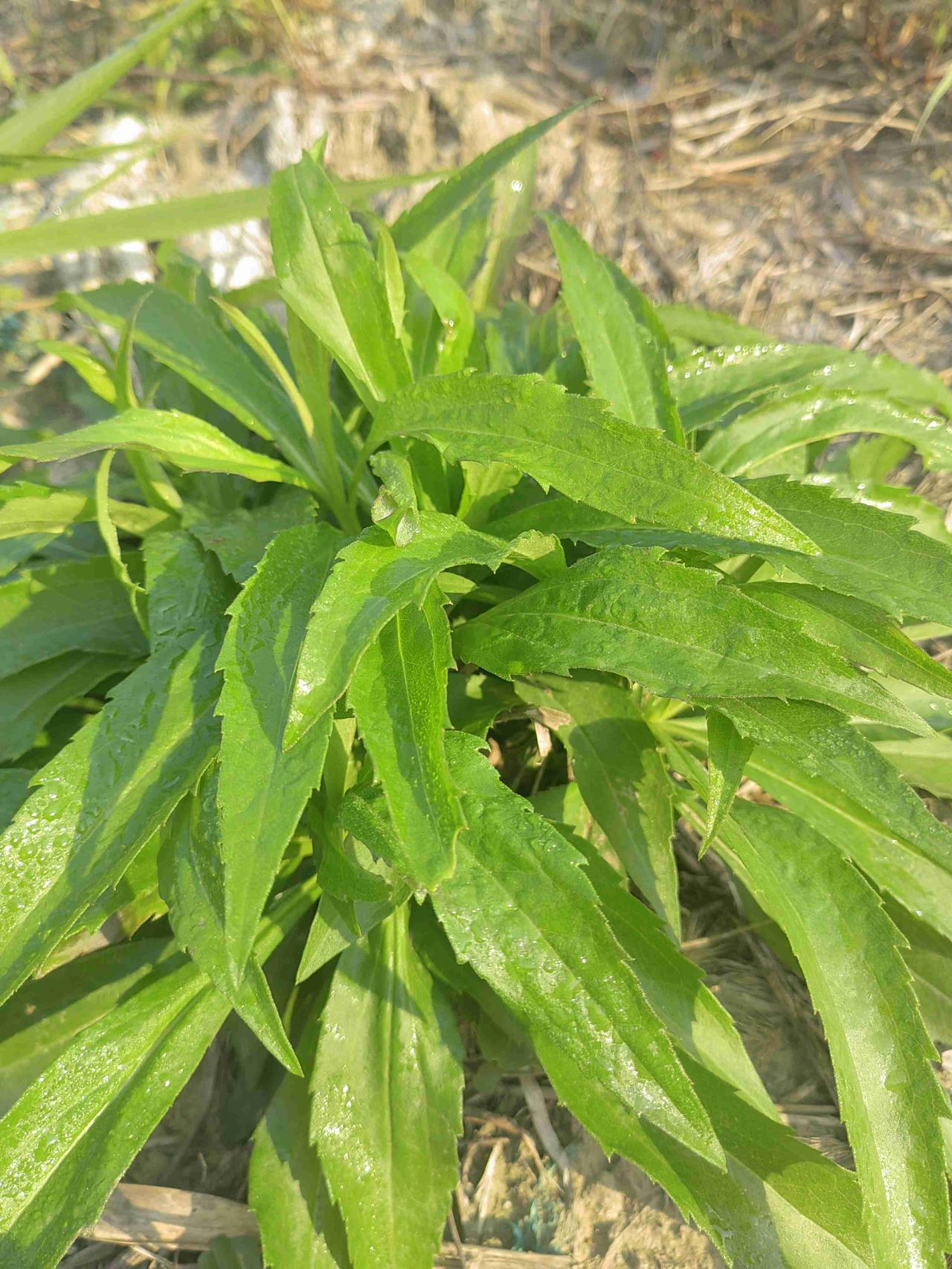 我的今日状态：💪🏻充满干劲
我这里的天气：☀️晴天