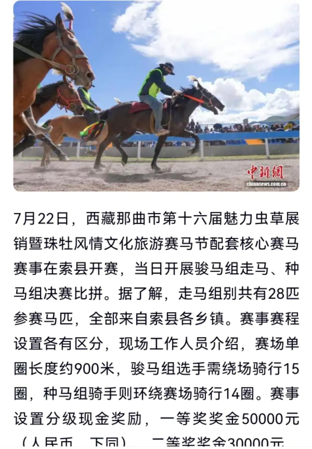 在这片平均海拔超过4000米的藏北草原，风总是带着野性，而7月，是属于马背英雄的