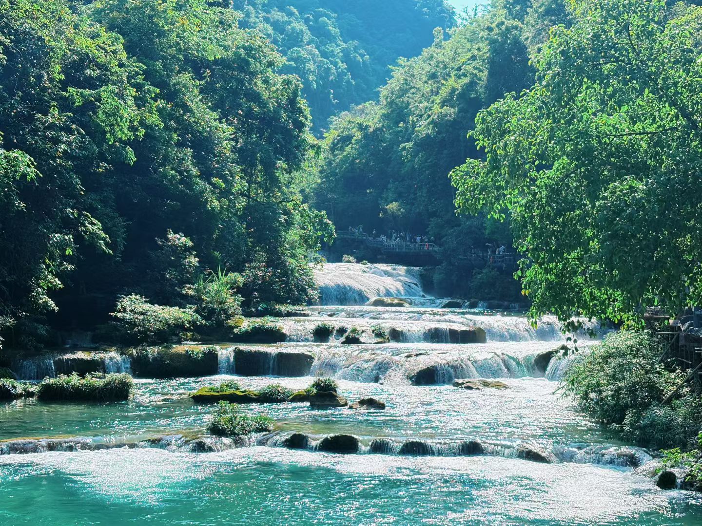 李昀锐闪击小森林就是喜欢看风景，看一些绿色元素，不太喜欢去人多的地方 。小林你呢