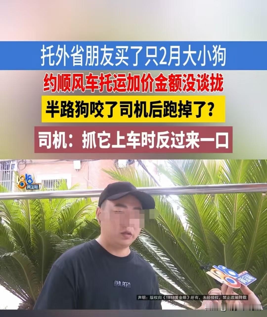 嘉兴，男子怀疑，自己花500元买的狗狗，被司机卖给了别人。因为当时他联系卖家的时