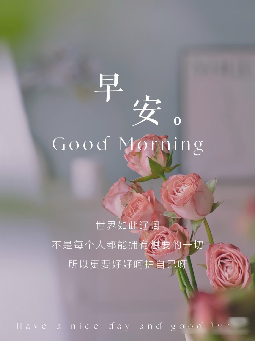 ✌🏻🌱²º²⁶/₀₇.₀₂ ღº ✐ 🔆 ᴹᴼᴿᴺᴵᴺᴳ🐾清晨的阳光温暖