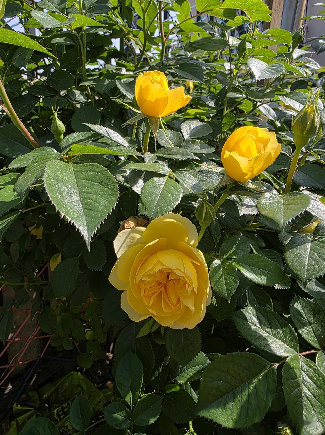 心里空了10年，直到她出现，才重新暖起来……

我也有了枕边人，哈哈。

活到这