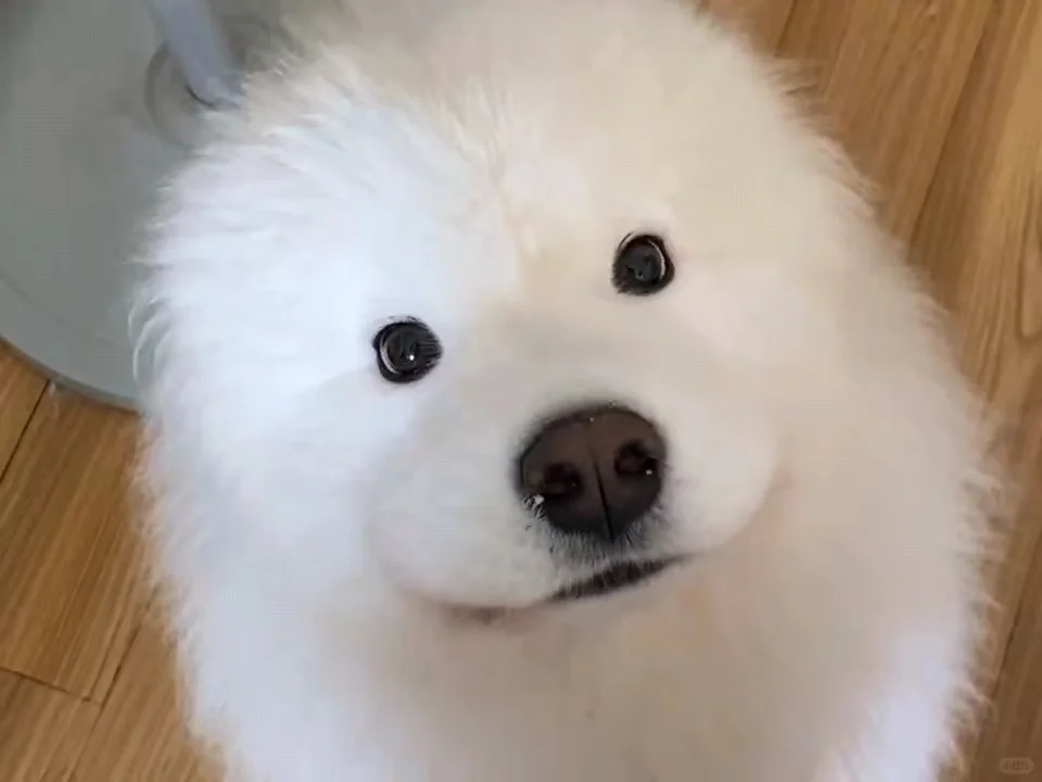 哪张当头像好看？