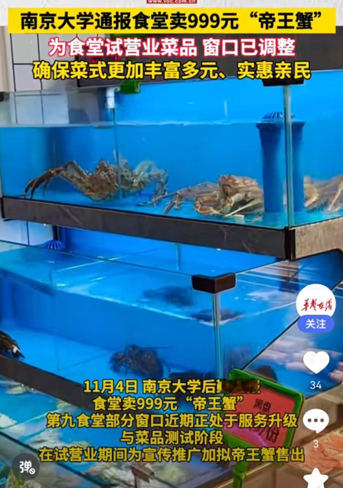999元一只帝王蟹，摆进了大学食堂？南京大学这波操作，直接把“象牙塔”变成了“美