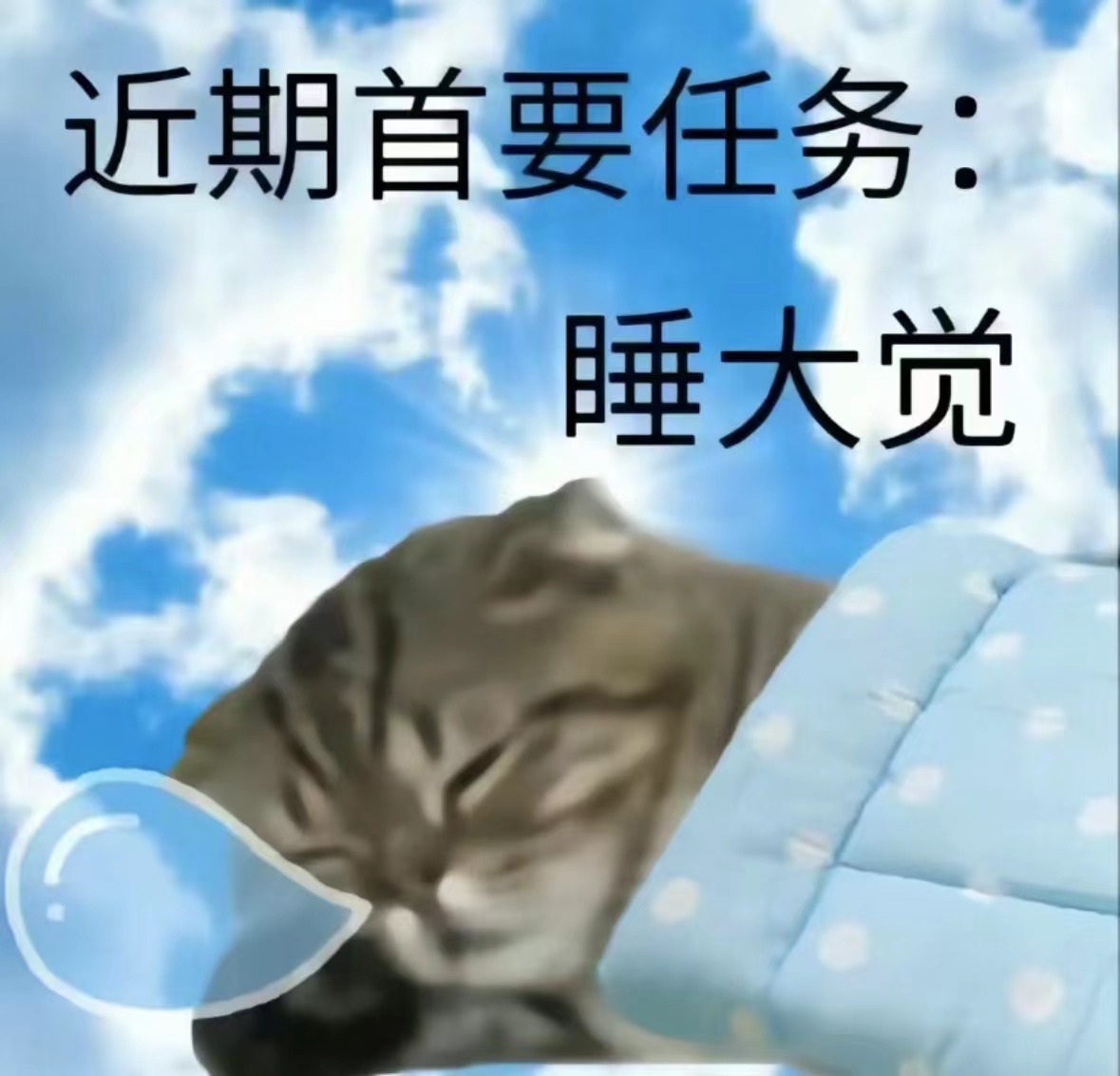 【人类冬眠！？我们能暂停体内时间吗？】在二月的满月之夜，西藏人民会庆祝这一年中最