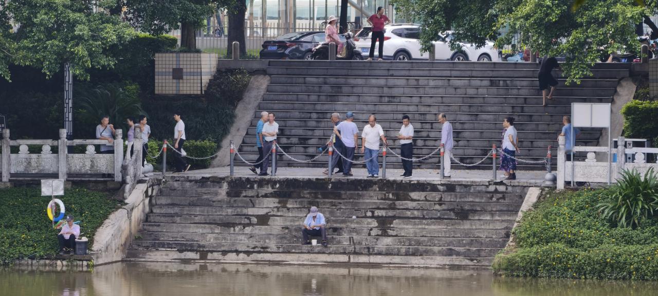 这么多人围观，钓鱼佬也是有压力的钓鱼 钓鱼背影 水库休闲钓鱼 友友来钓鱼 赶早钓