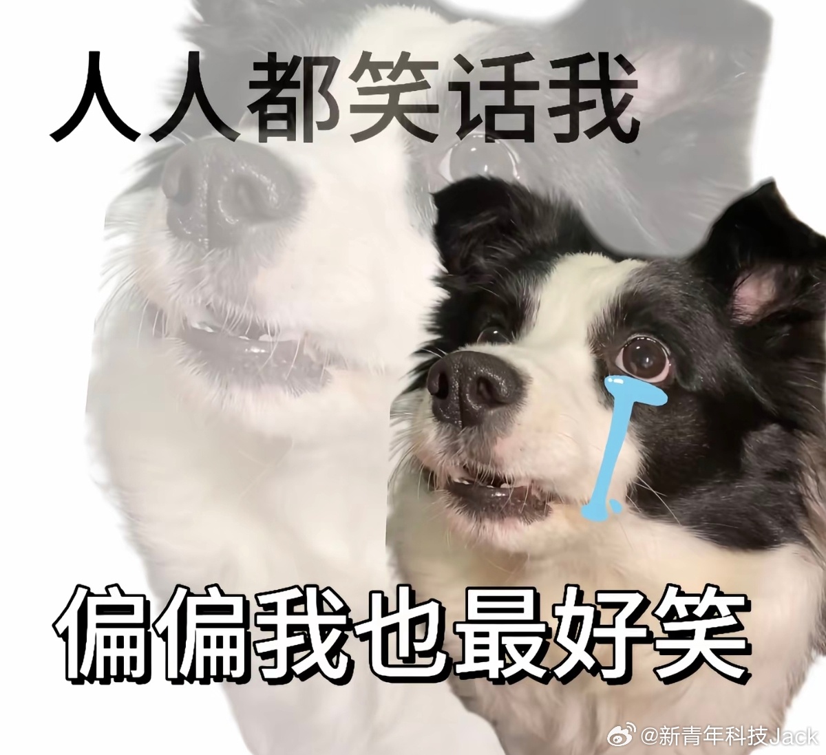 闫闯退赛闫闯撞车我看一堆人没绷住在笑，本来以为他能用实力打脸嘲讽他的人，没想到确
