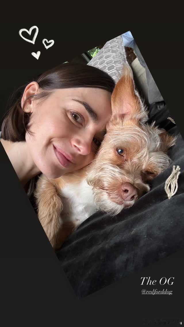 lily collins莉莉柯林斯晒和好久没出镜的爱犬Redford贴贴的合影，