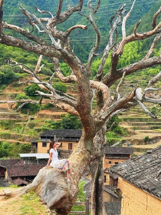 真正的秘境丨松阳古村后畲村