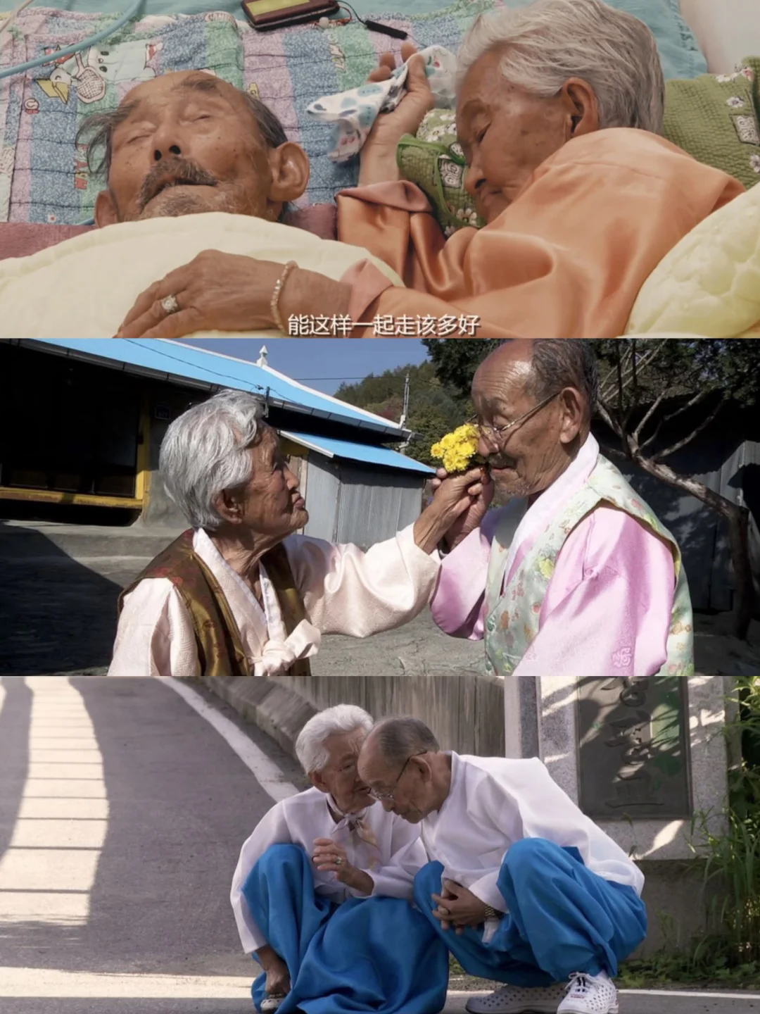 《亲爱的，不要跨过那条江》：102岁奶奶离世，看哭无数人 	 这个春天...
