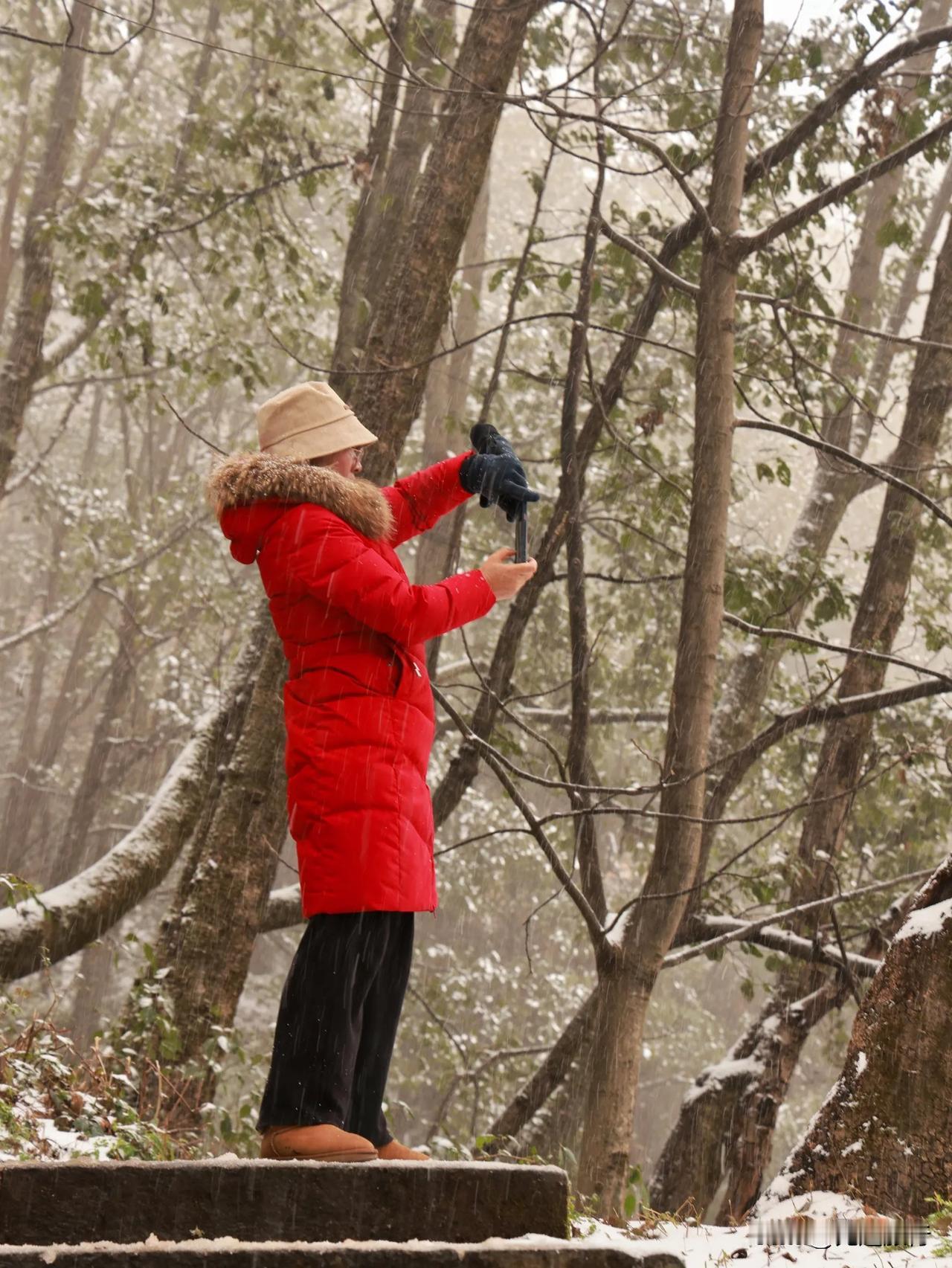 大理下雪啦！2025年大理的第一场雪，来得及时而且喜庆感满满。

腊月二十八日（