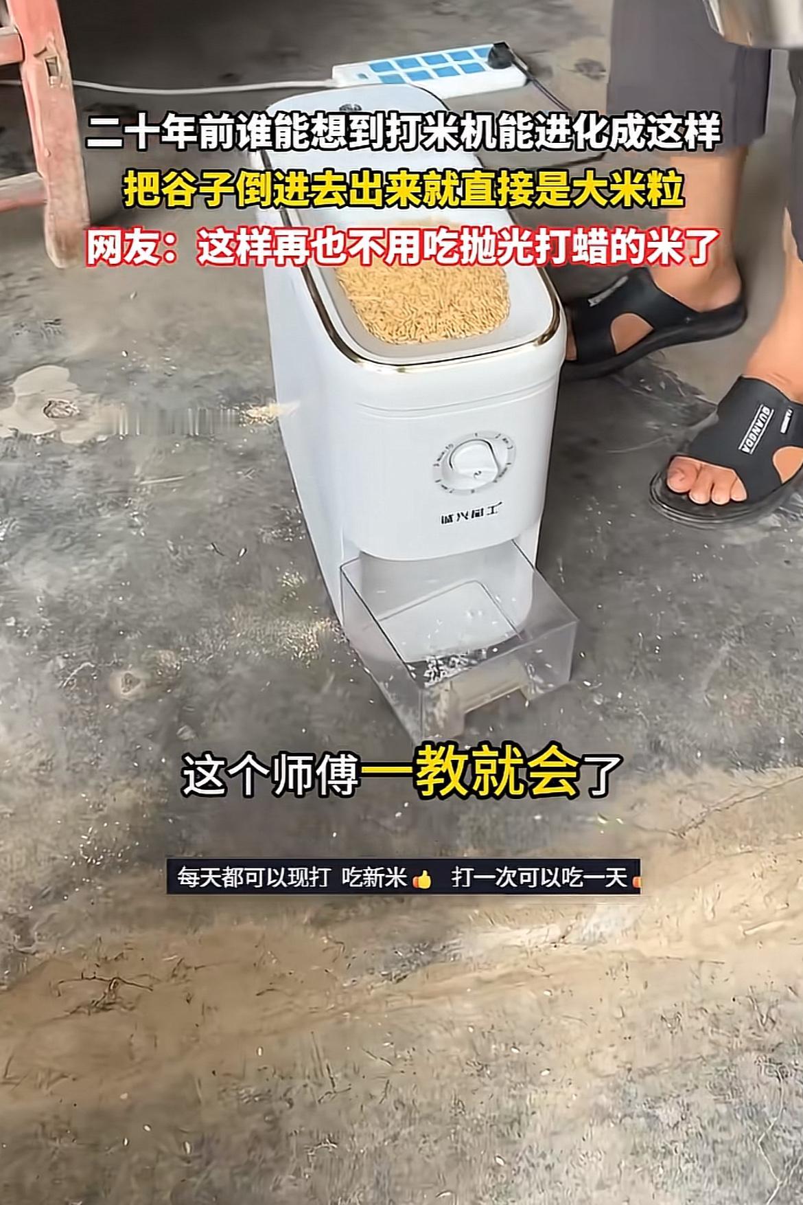 最近挖到个宝藏小电器，就是那种能直接把谷壳和米粒分干净的迷你新米机，体积比20寸