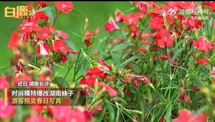 #出去玩遇到会拍照的路人有多爽#每一次旅行，我都期待能遇到会拍照的路人，他们的镜