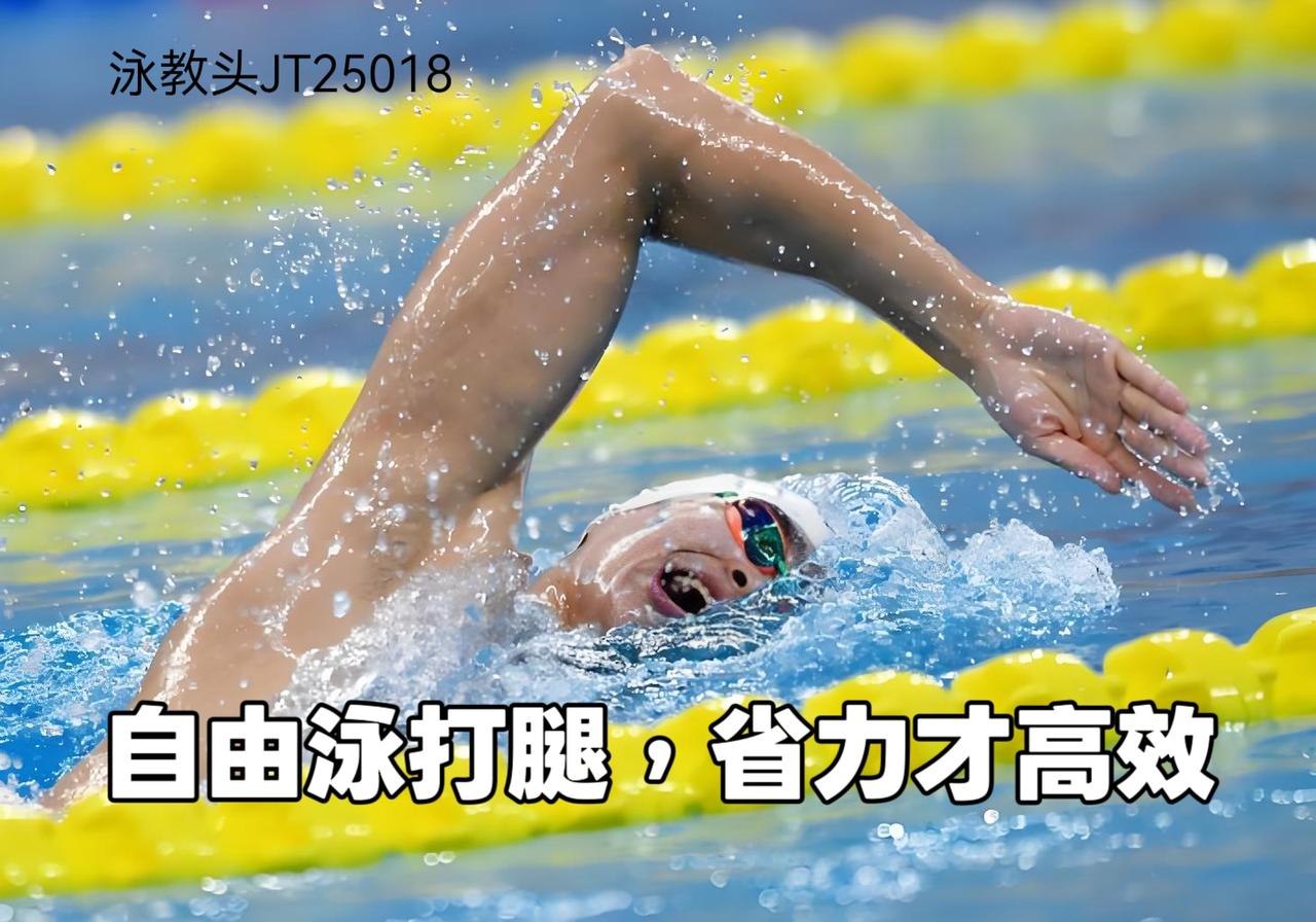 很多泳者打腿越用力越累、越游越沉，核心问题是发力错、幅度乱、节奏差。真正高效的自