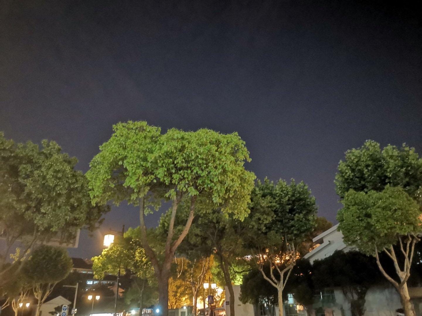 现在的心情，树欲静而风不止 