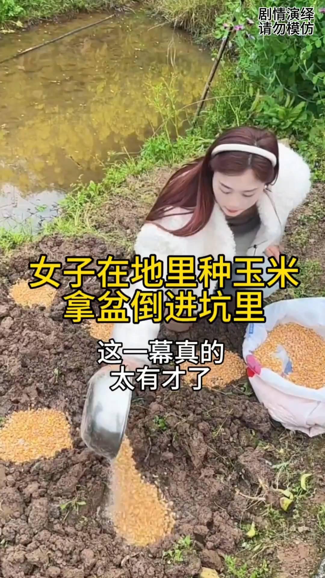 女子在地里种玉米，拿盆倒进坑里，这一幕真的太有才了。
女儿来到父母家，她帮着一起