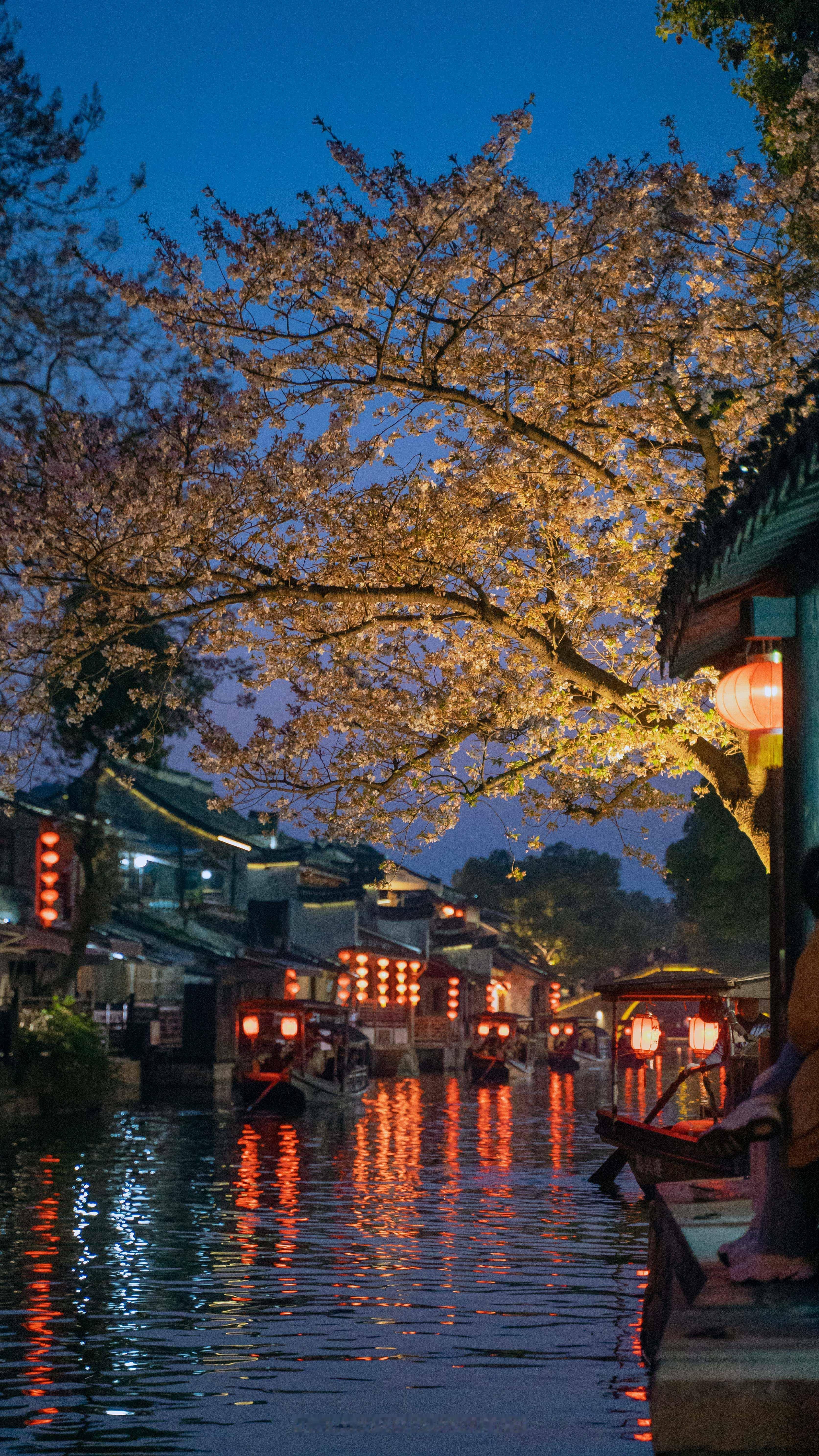你一句春不晚，我就到了真江南。📍西塘古镇 ​​​
