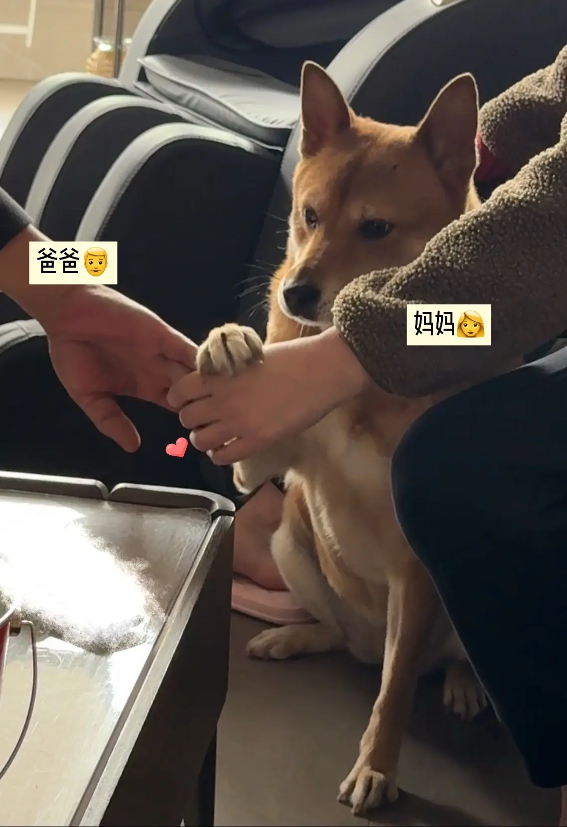 接下来茜茜在家替我当小孩。 世界上有两个我，一个想远行，一个想回家😭